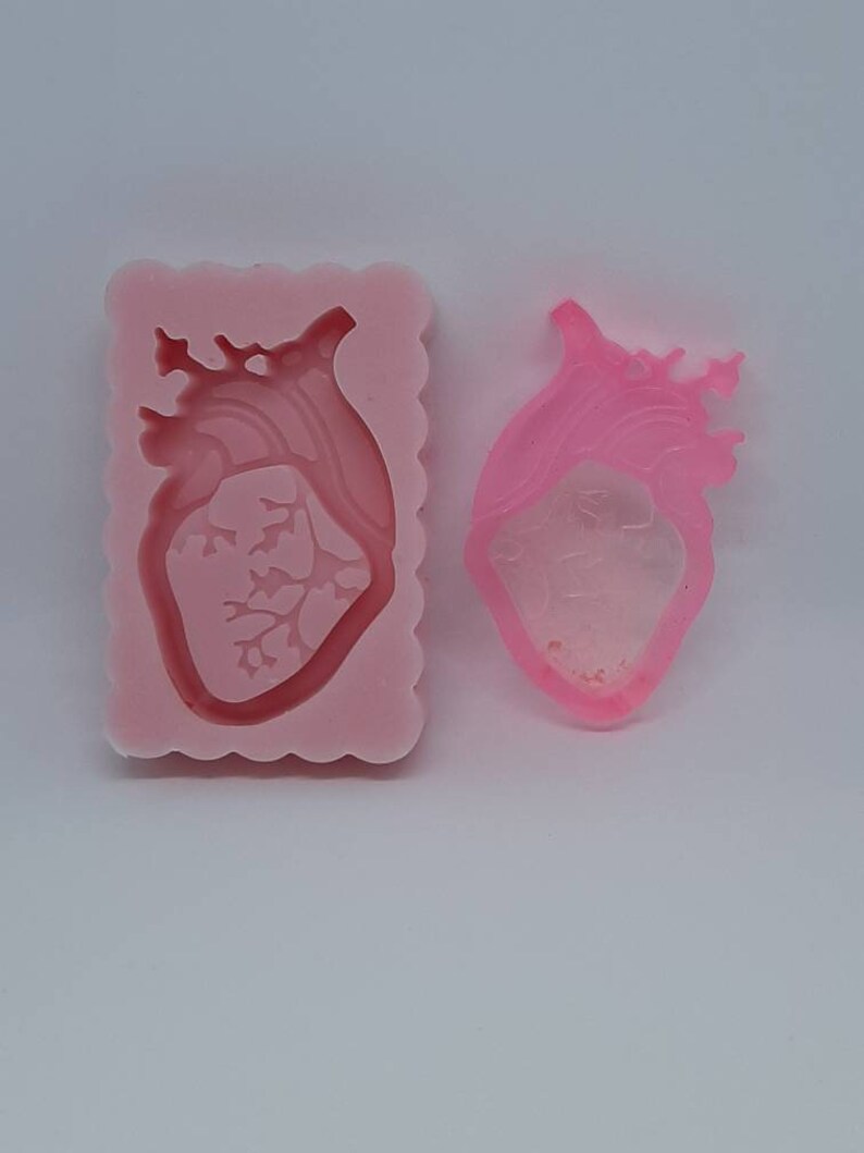 Stampo silicone shaker cuore anatomico / Anatomical heart Etsy