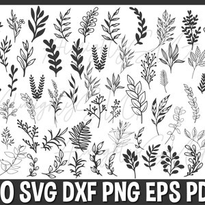 60 Feuilles svg | verdure SVG | Succursale SVG | Leaf SVG | Feuilles dessinées à la main SVG | feuille png Botanical Svg Bundle | svg pour Cricut