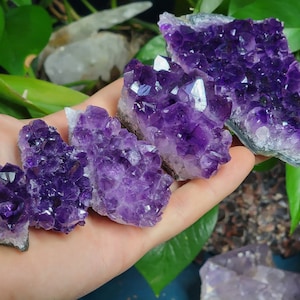 Raw Deep Purple Amethyst || Raw Uruguay Amethyst Crystal Cluster || Pick your size!!