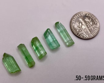 Tormalina verde terminata // Tormalina verde mela grezza // Esemplare di tormalina terminata // Scegli la tua taglia