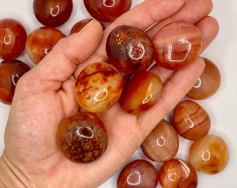 Pietra di corniola levigata // Ciottolo di corniola naturale // Mini pietra di palma di corniola