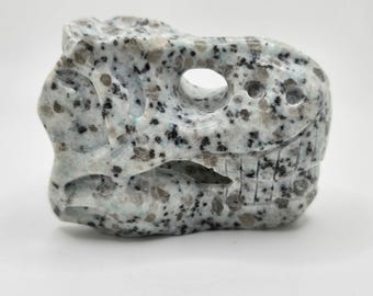 Teschio di T-Rex in Kiwi Jasper // Teschio di dinosauro // Intaglio di T-Rex