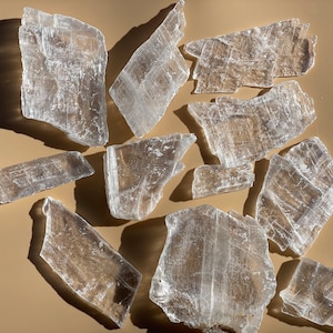 May include: A collection of selenite crystal pieces in various shapes and sizes. The crystals are translucent and have a milky white color. They are arranged on a light brown surface.