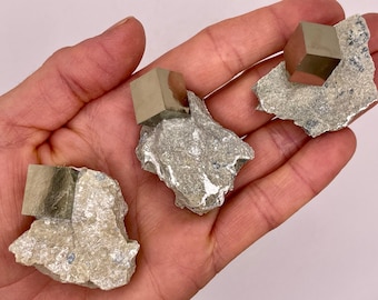 Cubo di pirite grezza su matrice // Cubi di cristallo di pirite grezza // Pietra di cristallo di pirite