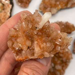 Op de afbeelding: Een cluster van oranje en witte kristallen, met een enkel, groter wit kristal in het midden. De kristallen zijn gerangschikt in een cluster, met het witte kristal in het midden.