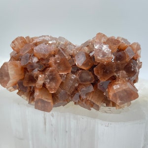 May include: A cluster of brown selenite crystals, also known as desert rose, with a translucent, glassy appearance. The crystals are arranged in a cluster, resembling a flower.