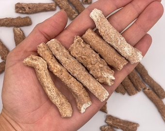 Fulgurite || Fulgurite Crystal || Fulgurite Stone || Lightning Stone || Choose Your Size