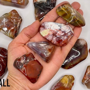 Petrified Wood Tumble || Arizona Petrified Wood || Polished Petrified Wood