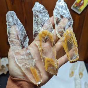 Raw Golden Phantom Selenite Wands, Sacral Selenite, Utah Selenite Slices