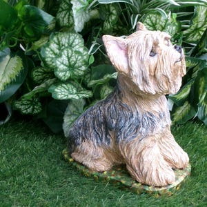 Yorkshire Terrier Statue 4 x 8 x 9" high, and Cast in fine grained white concrete, This high detail piece is Mini-Me painted (Per your photos) as a loving reminder of a best friend that had to leave too soon.  weighs nearly 8 lbs