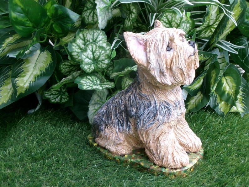 Yorkshire Terrier Statue 4 x 8 x 9" high, and Cast in fine grained white concrete, This high detail piece is Mini-Me painted (Per your photos) as a loving reminder of a best friend that had to leave too soon.  weighs nearly 8 lbs