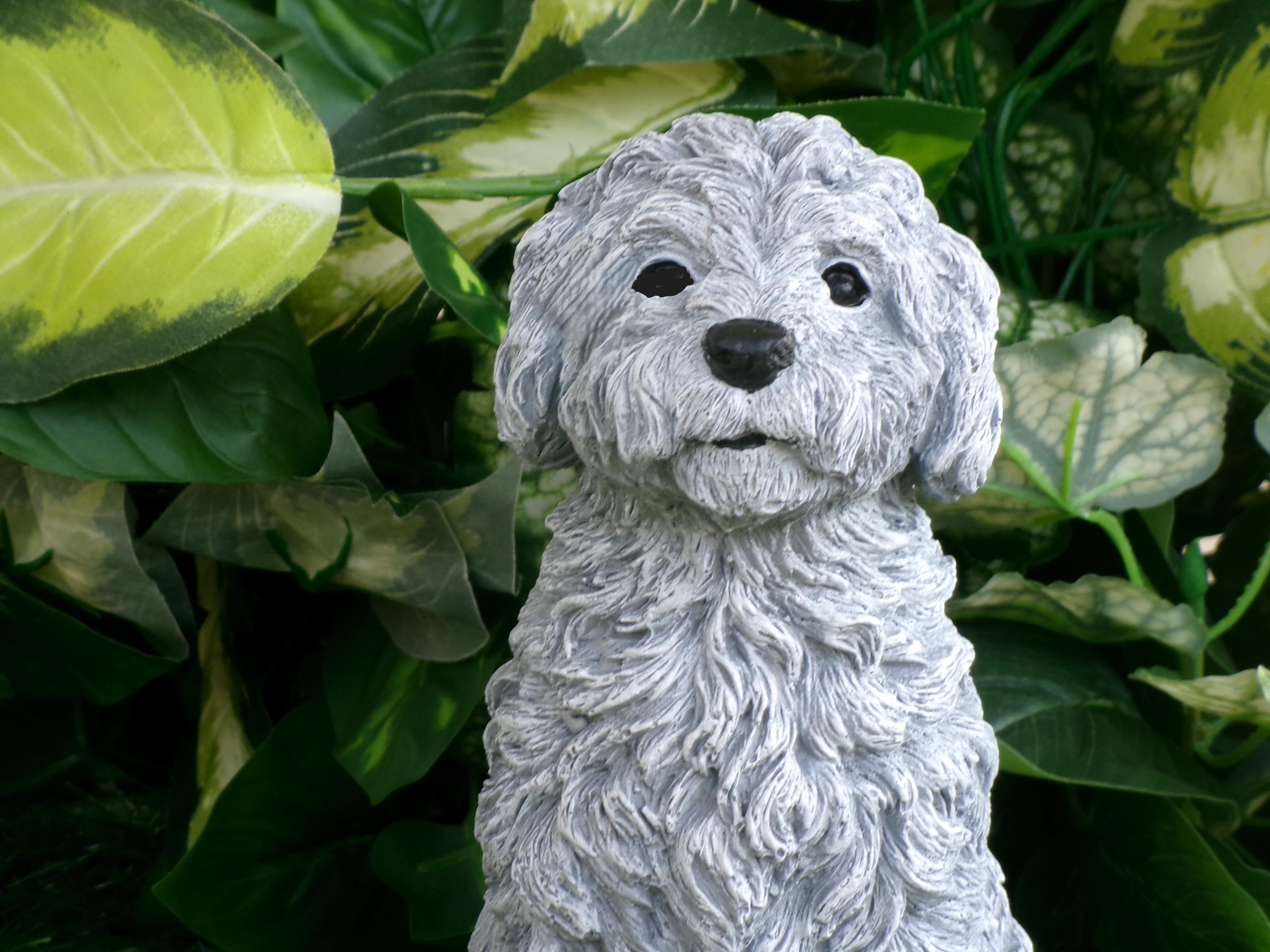 Cockapoo Concrete Statue 8.25