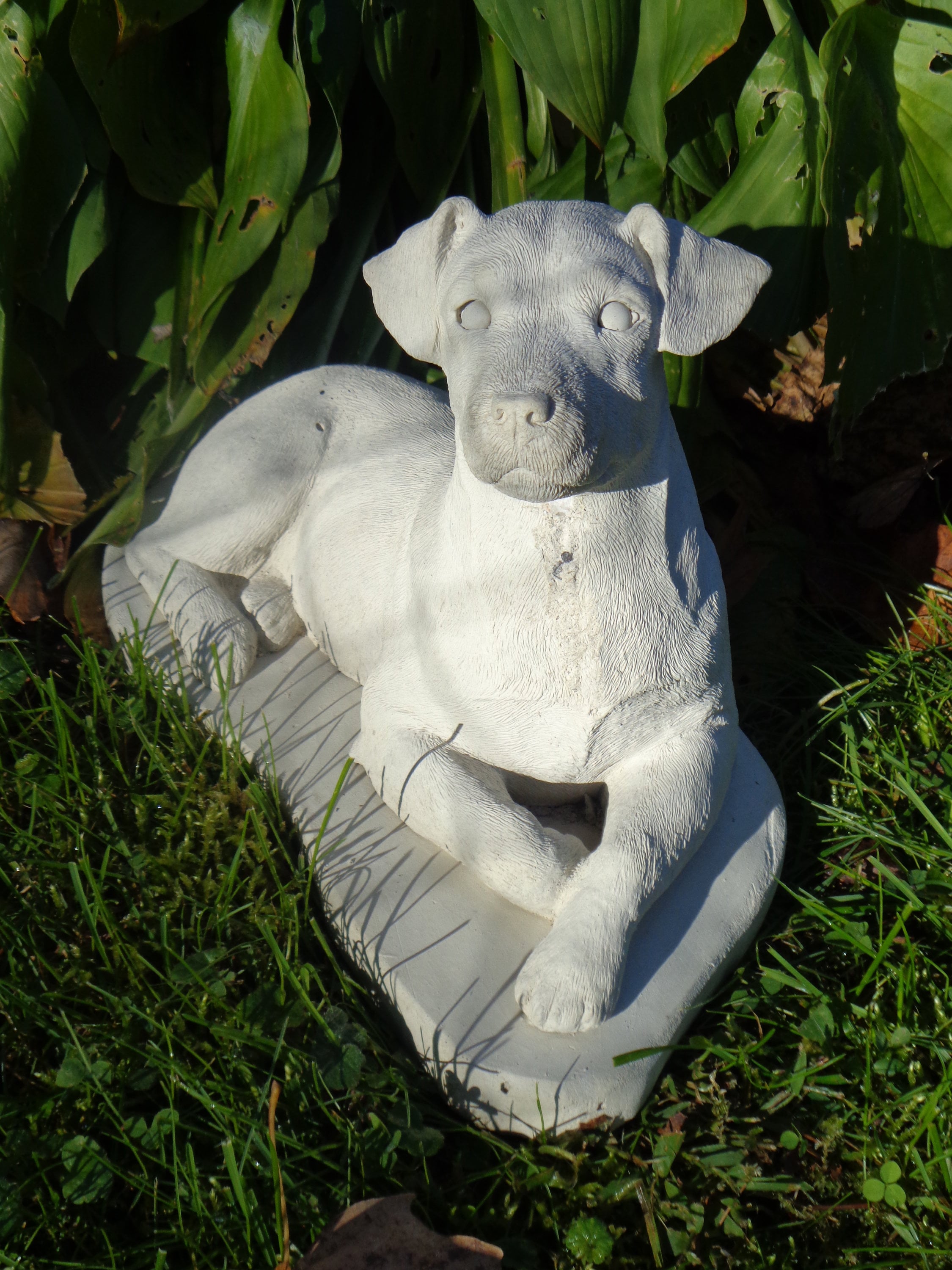 Jack Russell Terrier Dog Concrete Waterproof Sealed or Custom Etsy