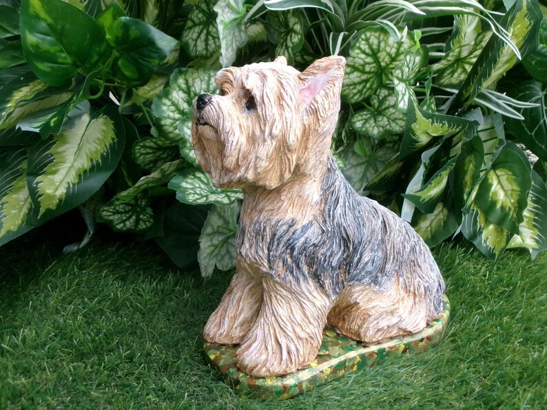 Yorkshire Terrier Statue 4 x 8 x 9" high, and Cast in fine grained white concrete, This high detail piece is Mini-Me painted (Per your photos) as a loving reminder of a best friend that had to leave too soon.  weighs nearly 8 lbs