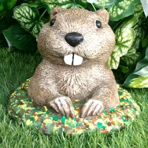 Groundhog Day Punxsutawney Phil Concrete  Statue Milltown Mel, Staten Island Chuck Gobblers Knob Garden decor Essex Ed, Buckeye Chuck