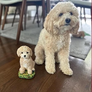 Labradoodle Cockapoo Cavapoo Concrete Statue Custom Mini-Me painted Dog Lovers Gift Pet loss Memorial Stone Home garden decor  Dog Mom Gift
