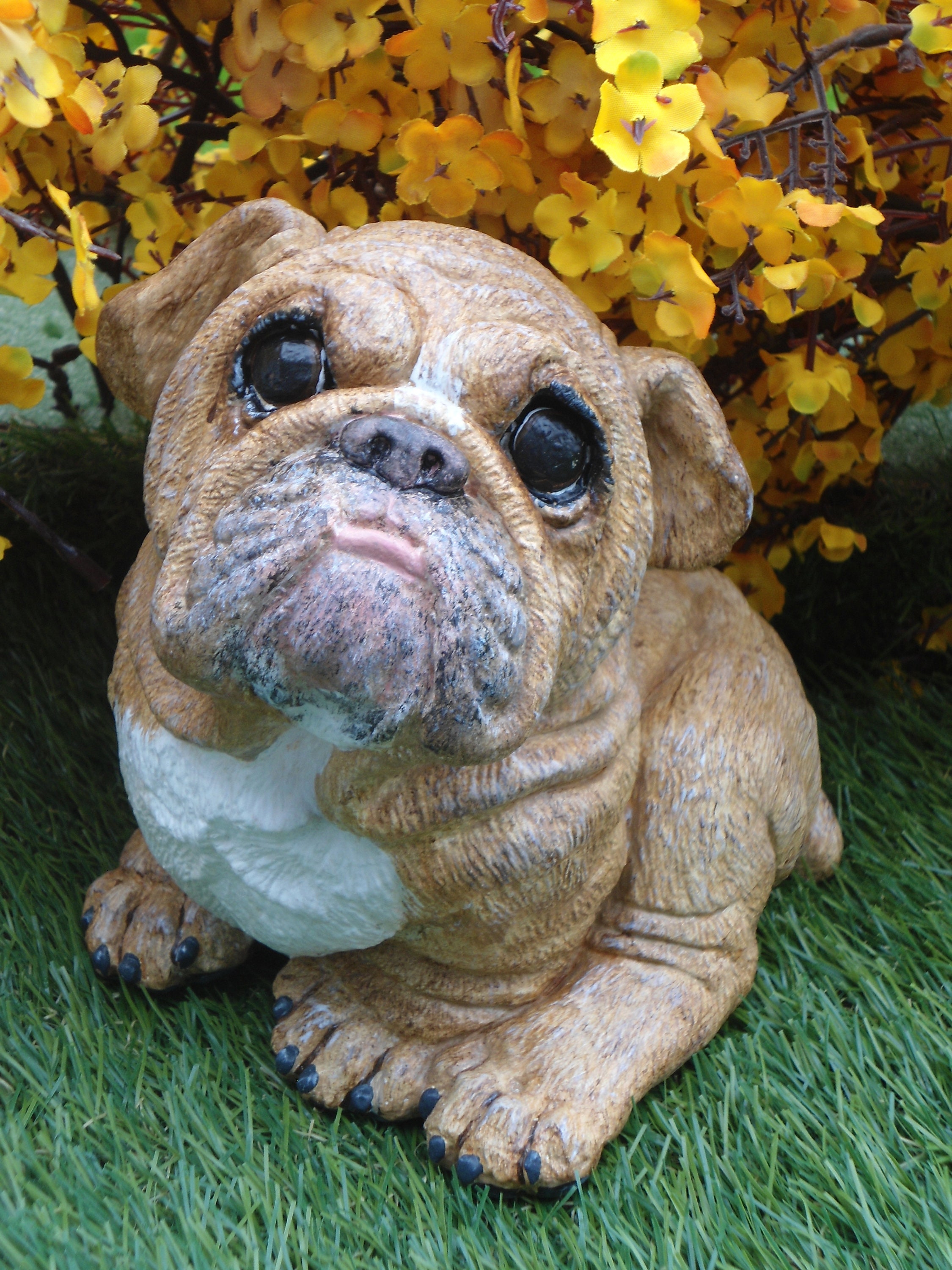 English Bulldog Puppy Glass Eyes Statue Adorable Bully Wrinkles Red Wh –  BOTEGA EXCLUSIVE