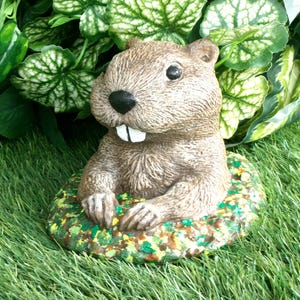 Groundhog Statue, Concrete Milltown Mel, Staten Island Chuck Gobblers Knob Garden decor Essex Ed, Buckeye Chuck, French Creek Freddie, Ms.G