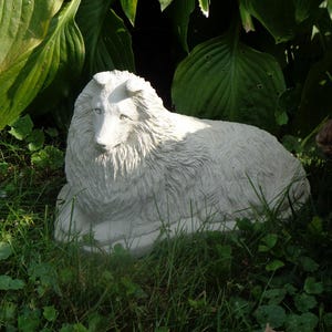 Sheltie Shetland Sheepdog Concrete Statue Pet loss Memorial Stone Pet Loss Gift Sealed Indoor Outdoor Ready To Paint