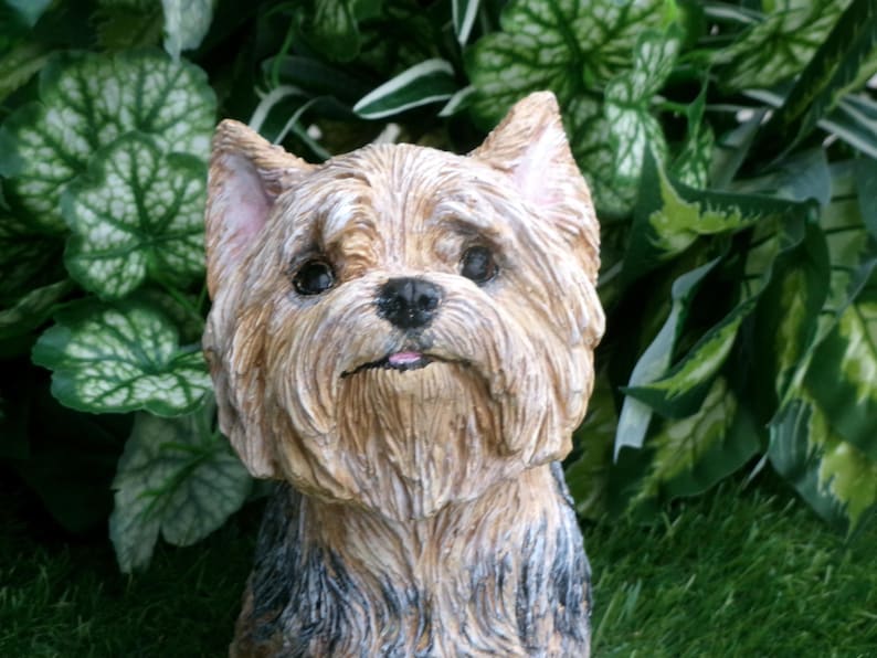 Yorkshire Terrier Statue 4 x 8 x 9" high, and Cast in fine grained white concrete, This high detail piece is Mini-Me painted (Per your photos) as a loving reminder of a best friend that had to leave too soon.  weighs nearly 8 lbs