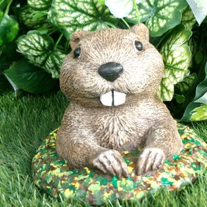 Groundhog Statue, Concrete Milltown Mel, Staten Island Chuck Gobblers Knob Garden decor Essex Ed, Buckeye Chuck, French Creek Freddie, Ms.G