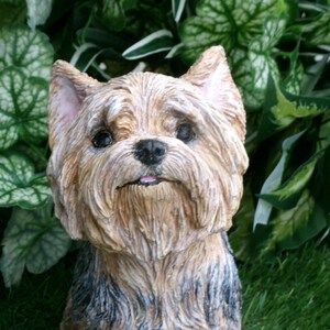 Yorkshire Terrier Statue 4 x 8 x 9" high, and Cast in fine grained white concrete, This high detail piece is Mini-Me painted (Per your photos) as a loving reminder of a best friend that had to leave too soon.  weighs nearly 8 lbs