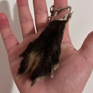 Taxidermy soft mounted red fox paw keychain