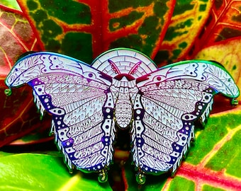 Anodized Atlas Moth Pin