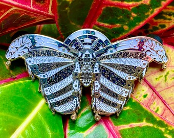 Exoskeleton Atlas Moth