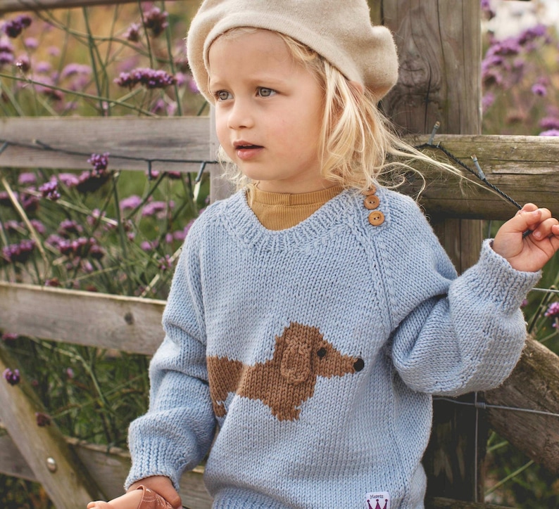 May include: A light blue knitted sweater with a brown dachshund design. The sweater has a round neckline and long sleeves. The sweater has two brown buttons on the shoulder.