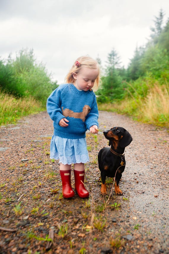 Knitting Pattern Unisex Aran Sausage Dog Jumper Pattern in