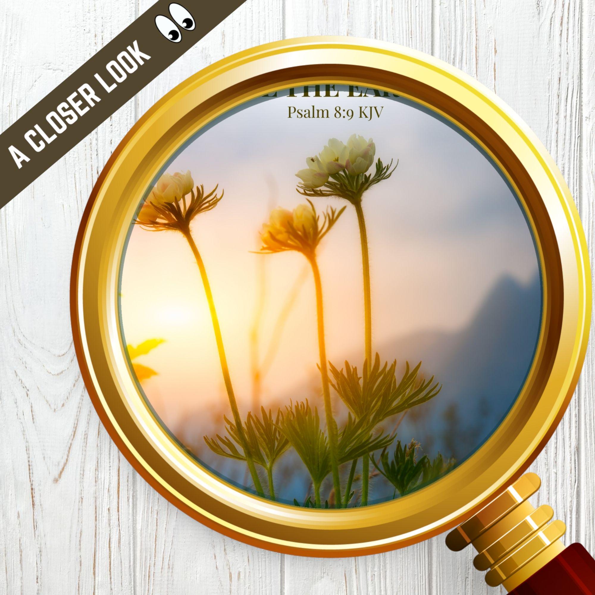 Christian Church Worship Program Bulletin Cover Clip Art, Psalm 8:9 KJV ...