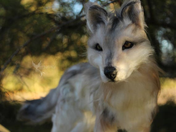wolf bjd