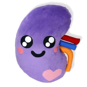May include: A plush, purple kidney-shaped pillow with a smiling face, rosy cheeks, and a pink heart. It has red, blue, and orange tubes attached. A cute and cuddly anatomical novelty item.