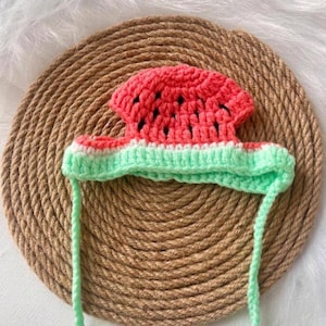 Crochet Watermelon Hat For Cats