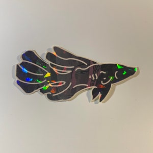 May include: A black sticker in the shape of a fish with a white outline. The fish has a smiling face and iridescent accents that reflect multiple colors. The sticker is on a white background.