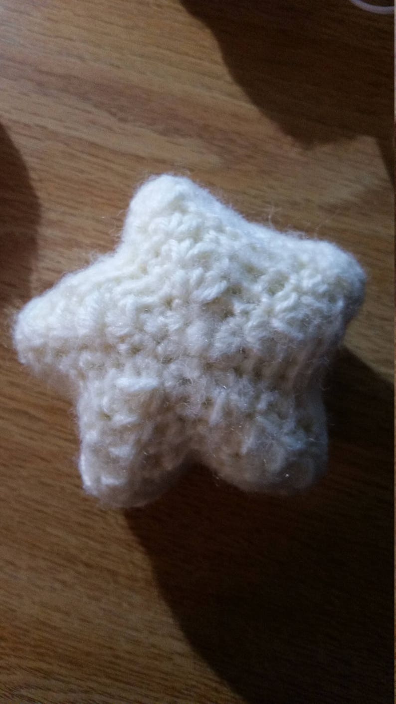 Bright Orange Starfish