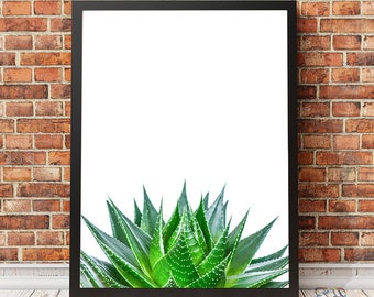 Cactus print, Cactus Wall Art, Aloe vera plant, Aloe vera, Botanical print, Aloe vera art, Cactus, Digital download, Home decor, Art print