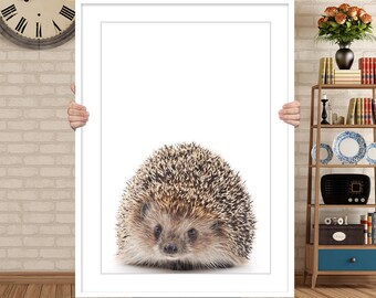 Hedgehog Print, Hedgehog Decor, Woodlands Animal Wall Art, Animal Print, Hedgehog Photo, Animal Decor Baby Gift, Art Print, Hedgehog Poster