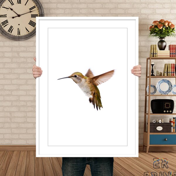 Hummingbird Print, Colibri Print, Hummingbird Wall Art, Bird Print, Nursery Decor, Colibri Photo, Bird Wall Art, Colibri Poster, Bird Art