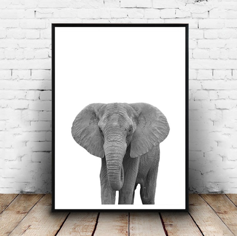 Elephant Print Black and White Elephant Art African Art Etsy