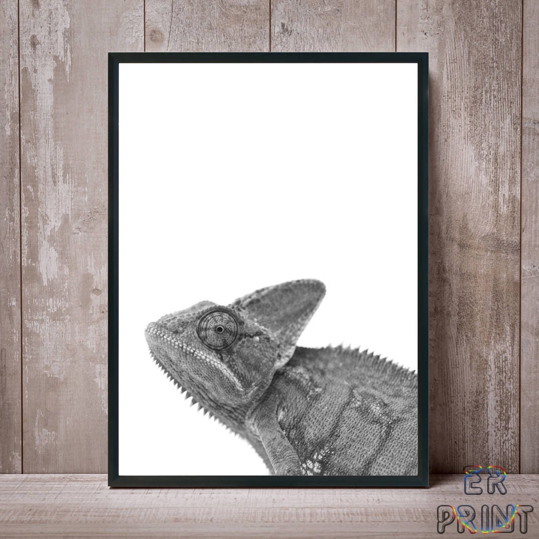 Vintage Reptile Chameleon chameleo Verrucosus Print 8x10 P175 