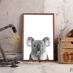 May include: Black and white framed print of a koala bear with its tongue sticking out. The print is displayed on a wall next to a metal pipe lamp and a wooden crate. The crate has the number 01 printed on it.