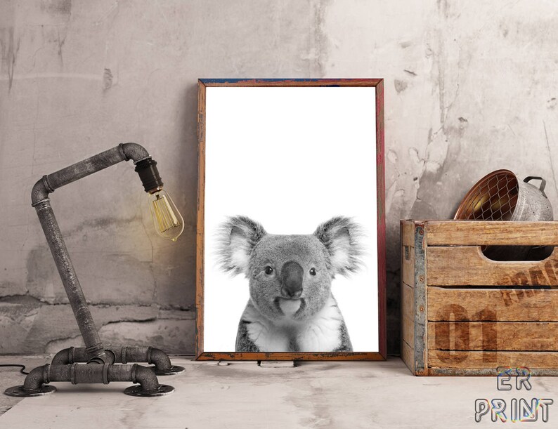 May include: Black and white framed print of a koala bear with its tongue sticking out. The print is displayed on a wall next to a metal pipe lamp and a wooden crate. The crate has the number 01 printed on it.