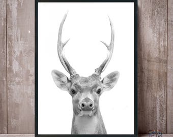 Impresión de ciervos, Cornamentas, Regalo de animales, Arte de los ciervos, Decoración del vivero, Ciervos en blanco y negro, Animal Print, Cartel de ciervos, Foto de ciervo, Arte de pared de ciervos