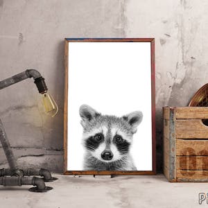 Racoon Print, Nursery Wall Art, Nursery Decor, Black and White, Baby Shower, Digital Download, Racoon Poster, Kids Room Decor, Racoon Photo image 3