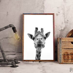 Giraffe Print, Giraffe Wall Art, Black and White, Nursery Decor, Safari Animal, Kids Room Decor, Large Poster, Animal Print, Giraffe Photo image 3