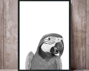 Parrot Print, Black and White Parrot, Macaw Print, Parrot Wall Art, Parrot Photo, Parrot Poster, Bird Print, Tropical Decor, Tropical Print