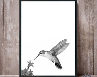 Hummingbird print, Hummingbird, Bird print, Bird art, Hummingbird wall art, Hummingbird poster, Hummingbird prints, Hummingbird photo