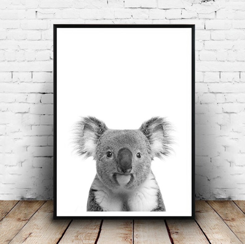 May include: Black and white framed print featuring a close-up of a koala bear. The koala has gray fur, large ears, and a small pink tongue. The print is displayed on a white brick wall and a wooden floor.
